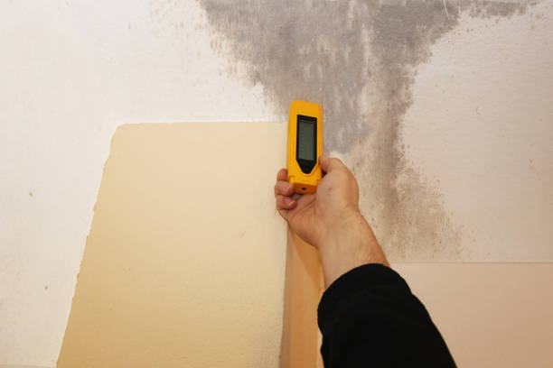 Best Residential Mold Inspection & Testing  in Valley Cottage, NY