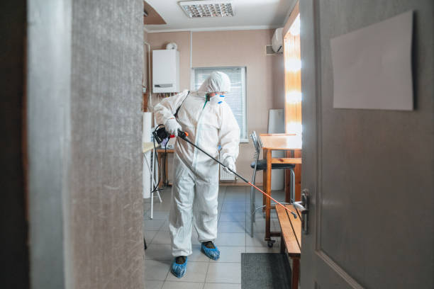 Best Water Damage & Mold Remediation  in Valley Cottage, NY