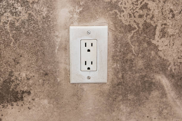 Best Mold Damage Restoration  in Valley Cottage, NY